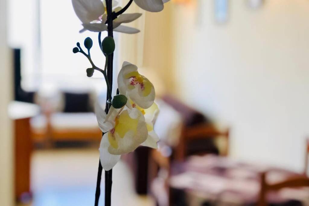 Cozy Apartment Playa Las Americas Playa de las Americas  Luaran gambar